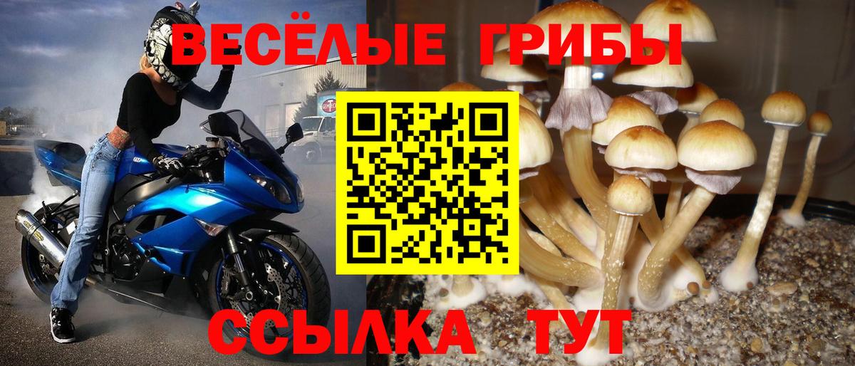Комсомольск-на-Амуре  Галлюциногенные грибы MAGIC MUSHROOMS  Вход с VPN 